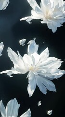 Wall Mural - White flowers floating serenely on a dark background in a tranquil natural setting during daylight