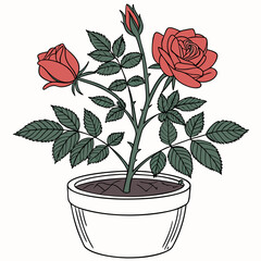 Sticker - Red rose tree plant in pot vector illustration