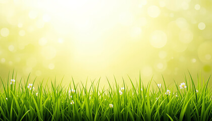Poster - Soft blades of bright green grass sway gently in the breeze, adorned with small white flowers, all illuminated by warm golden light in a sunny outdoor setting