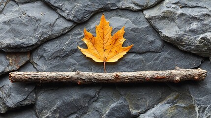 Poster - Autumn leaf balanced on twig, stone wall background