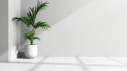 Wall Mural - Modern indoor plant in white pot against minimalist wall, creating serene atmosphere. sunlight casts soft shadows, enhancing tranquil setting