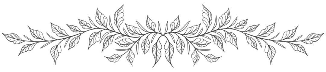 Wall Mural - branch with leaves line art vector illustration