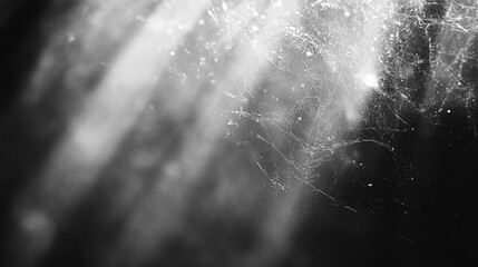 Poster - Intricate web of light and shadows dances in a darkened corner, capturing ephemeral beauty in a fleeting moment of nature