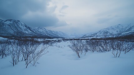 Snowy mountain valley winter landscape with bare shrubs