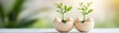 © pisan - Nurturing Nature Explore an Eco-Friendly Lifestyle Concept with these charming seedling plants sprouting from repurposed eggshells A simple yet powerful Earth Day sustainability initiative