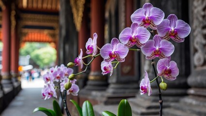 Aufkleber - Orchids Blooming in Traditional Temple Architecture with Vibrant Colors and Serene Atmosphere