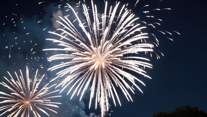 Poster - Stunning display of white fireworks exploding in the night sky creating a festive atmosphere against a dark backdrop.