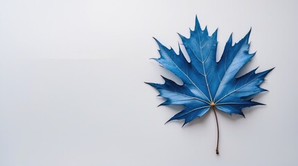 Poster - Blue maple leaf on a clean white background showcasing unique colors and textures with ample copy space for creative design applications.