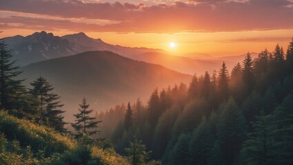 Poster - sunrise over mountain forest landscape with mist and lush greenery in warm morning light