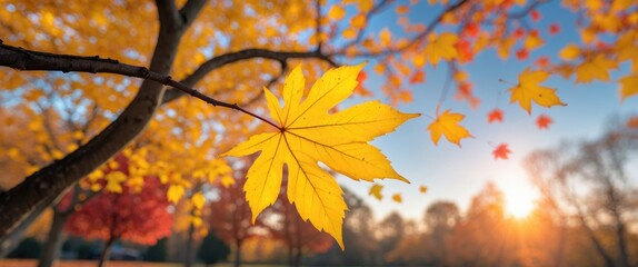 Poster - Vibrant Autumn Leaf Closeup with Bokeh Background Sunlit Golden Colors in a Park Scenic Fall Nature Woods Sunset Atmosphere