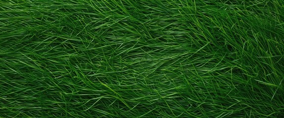 Aufkleber - Lush Green Artificial Grass Texture with Space for Text or Graphics Ideal for Design and Multimedia Projects