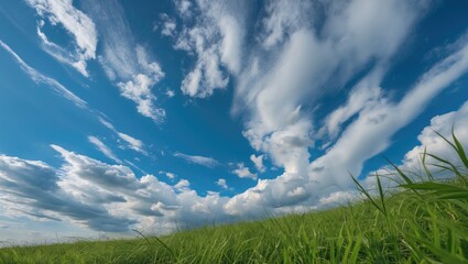 Poster - Lush Green Grass Under a Bright Blue Sky with Fluffy White Clouds in a Serene Landscape Setting