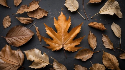 Poster - Autumn Leaves Collection on Dark Background Featuring Various Textures and Colors for Seasonal and Nature-Themed Designs
