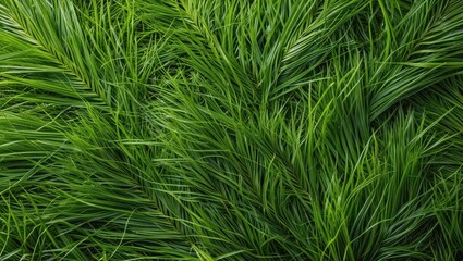 Aufkleber - Vibrant Green Artificial Grass Texture Ideal for Nature Backgrounds and Landscape Design Projects