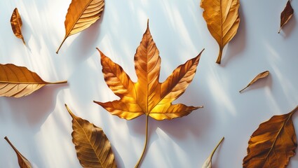 Poster - Autumn leaves arrangement on white background showcasing vibrant dry foliage in warm hues of orange and brown for a seasonal theme.