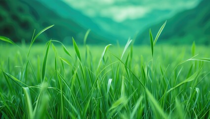 Aufkleber - Lush Green Grass Field with Blurred Mountains in Background and Ample Copy Space for Text or Graphics Usage