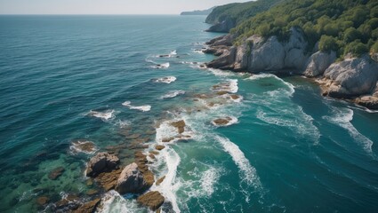 Poster - aerial view of rocky shoreline in clear blue waters with lush greenery ideal for travel and vacation