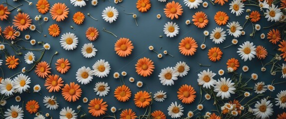 Wall Mural - Vibrant Floral Background with Orange and White Daisies Featuring Ample Space for Text and Design Elements