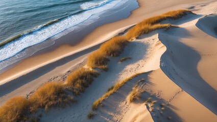 Poster - Aerial View of Autumn Dunes and Ocean Waves with Space for Text in Coastal Landscape Photography