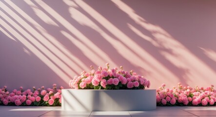 Poster - Elegant podium adorned with vibrant pink flowers casting beautiful sunlight shadows against a pastel wall, featuring ample text space.
