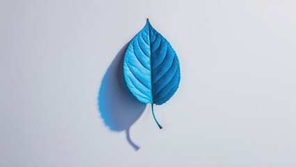 Poster - Colorful blue leaf shadow isolated on white background with ample copy space for text or design elements.
