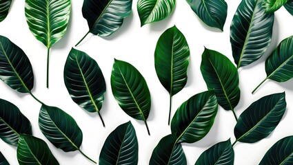 Poster - Tropical Green Leaves Arrangement Isolated On White Background Perfect For Nature Themes and Text Space For Creative Design Elements
