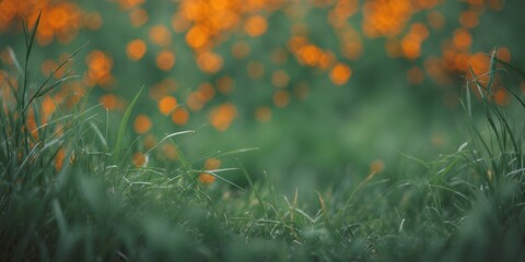 Poster - Defocused Grass Background with Green and Orange Bokeh Effect and Space for Text Overlay in Nature Inspired Setting
