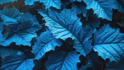 Wall Mural - Textured close-up of vibrant blue leaves showcasing intricate patterns and vintage aesthetics for nature and design concepts.