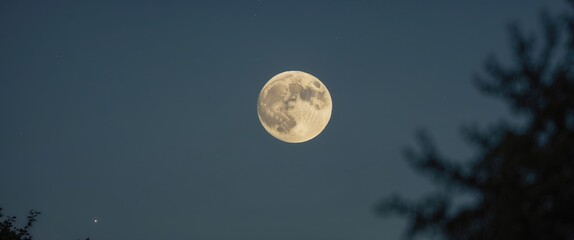 Wall Mural - serene half moon illuminating a summer night sky with soft focus and ample copy space for text overl