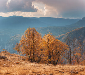 Wall Mural - Stunning vista of a mountain valley bathed in golden autumn hues under a dramatic, cloudy sky