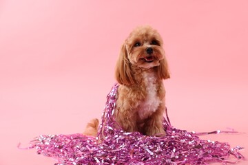 Wall Mural - Cute dog with pile of shiny tinsels on pink background