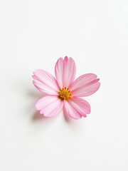 Poster - A Delicate Pink Flower Petal Sits Alone Against A Clean White Surface In Elegant Simplicity And Isolation. 00002