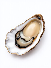 Aufkleber - A Single Fresh Oyster Is Isolated Against A Clean And Simple White Background For Optimal Visibility And Focus. 00002
