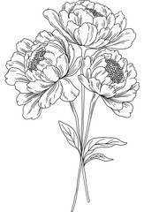 Wall Mural - Peony Stem Line Art