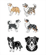 © RJ-PNG(hub) - 'Australian Shepherd Illustrations Set'