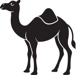 Wall Mural - camel silhouette, black and white silhouette, vector and illustration