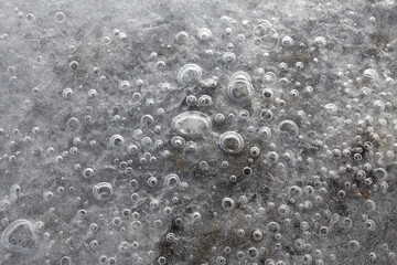 Wall Mural - bubbles of air frozen in river water flat lay