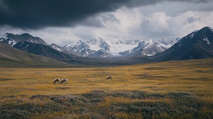 National Geographic A remote Arctic tundra with grazing caribou and snow-capped peaks.