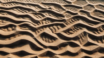 Poster - Sand Texture Background with Wavy Patterns and Space for Text Overlay in a Natural Setting