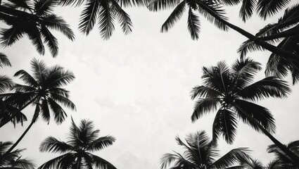 Poster - monochrome silhouette of palm leaves creating a striking pattern against a white background for trop
