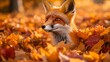 © CreativePulse - Charming and Curious Little Fox Playfully Peeking Out From a Pile of Crunchy and Colorful Autumn Leaves, Fun and Cute Vibe