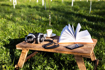 Wall Mural - book, headphone and coffee on a wood in nature