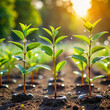 © Asif - A row of small saplings thrives in a meticulously maintained