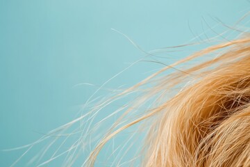 Aufkleber - Focus on frayed hair tips highlighting split ends with room for additional text. Generative AI