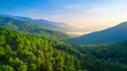 Wall Mural - Sunrise over mountain forest valley