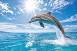 A playful dolphin jumping out of the ocean