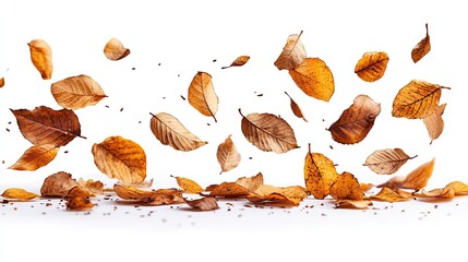 Wall Mural - Autumn leaves gracefully falling against a white background, creating a serene and tranquil atmosphere