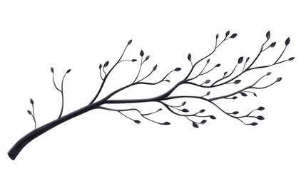 Bare tree branch, spring buds, white background, nature design
