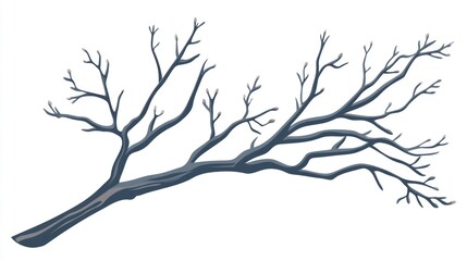 Bare tree branch, winter, isolated, design element
