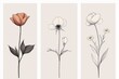 © phy - Set of minimalist vertical posters featuring delicate full color flowers drawn in smoky line art style, each poster highlighting a single bloom like a rose, tulip, and daisy, with soft neutral